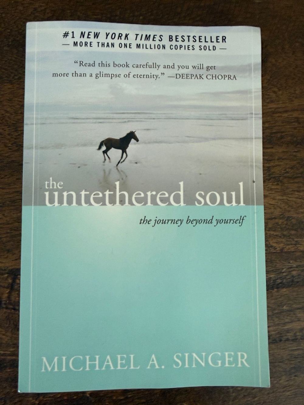 The Untethered Soul - (Aqua Cover)